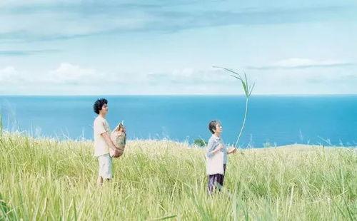 八四年夏天,1984年的炎炎夏日时光