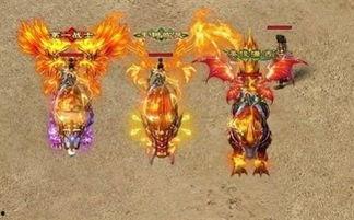 烈火战士,燃烧的信念,无畏的征程