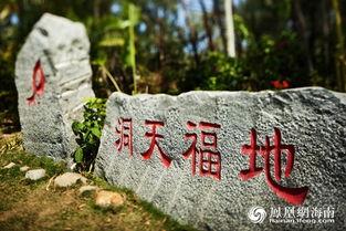 60灾荒，福宝有灵泉空间满仓肉,60灾荒下的生存传奇